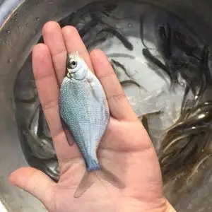 ~~